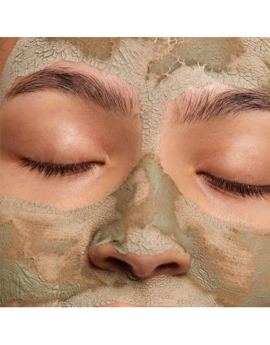 ALPHANOVA Perfect+ Masque Purifiant Argile + Zinc 100% Naturel – Tunisie