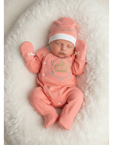 Sortie clinique en saumon King : protocole, organisation et sécurité du patient