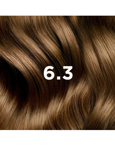 Phytocolor 6.3 Blond Foncé Doré | Éclat Naturel | Babymam