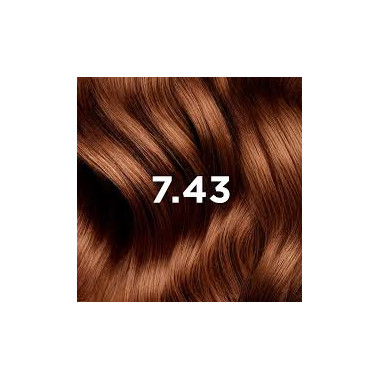 Phytocolor 7.43 Blond Cuivré Doré | Éclat Intense | Babymam