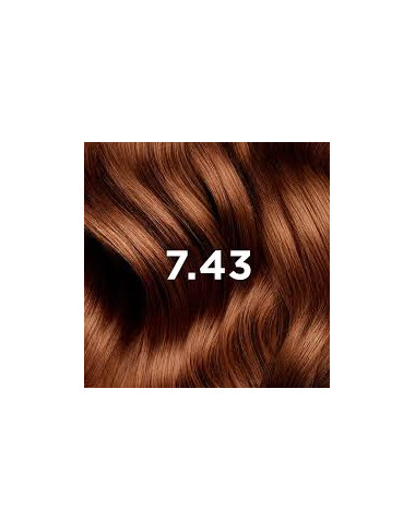 Phytocolor 7.43 Blond Cuivré Doré | Éclat Intense | Babymam