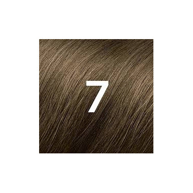 Phytocolor 7 Blond | Coloration Naturelle & Soin | Babymam