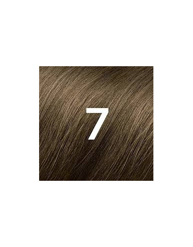 Phytocolor 7 Blond | Coloration Naturelle & Soin | Babymam