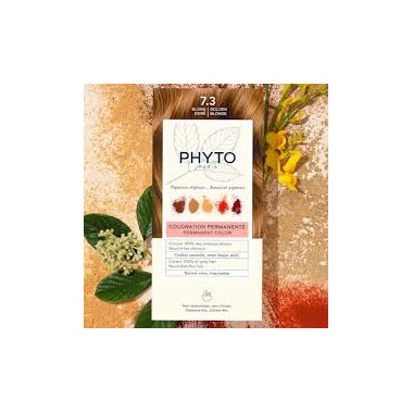 Phytocolor 7.3 Blond Doré | Éclat Naturel & Soin | Babymam