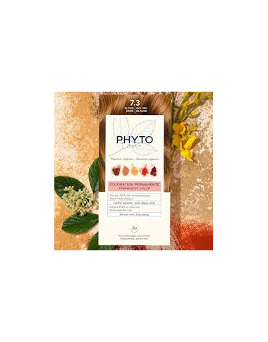 Phytocolor 7.3 Blond Doré | Éclat Naturel & Soin | Babymam