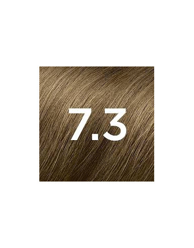 Phytocolor 7.3 Blond Doré | Éclat Naturel & Soin | Babymam