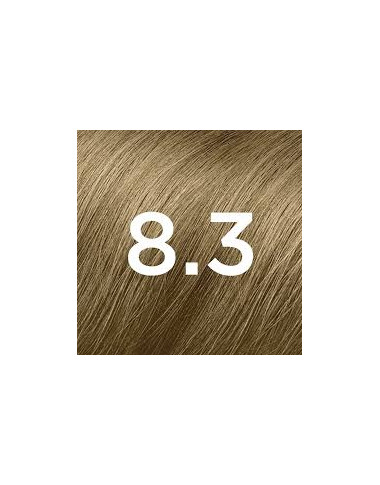 Phytocolor 8.3 Blond Clair Doré | Éclat Solaire | Babymam