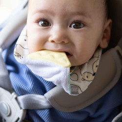 MYCEY BAVOIR BANDANA AVEC ANNEAU DENTITION