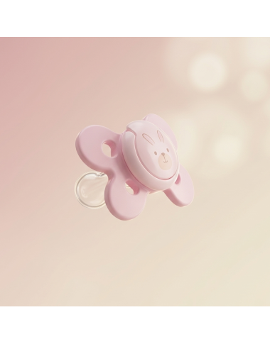Sucette Chicco Physio Comfort 0‑6m rose — BabyMam