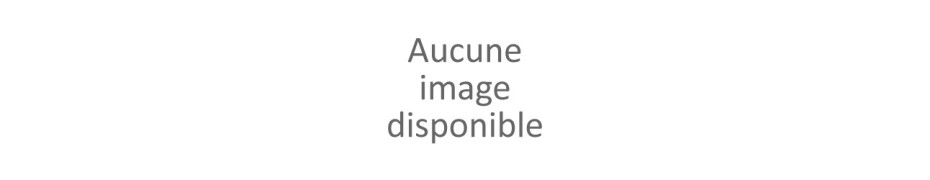 Homme